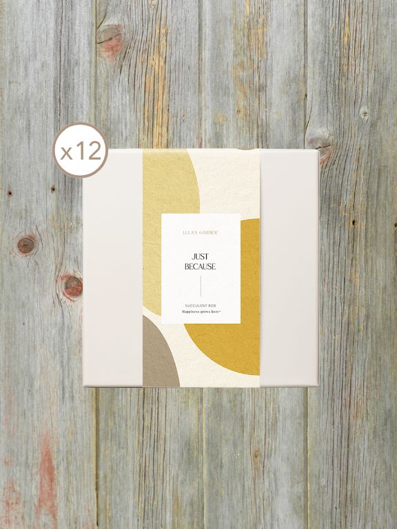 LULAS GARDEN URBAN SLEEVE - JUST BECAUSE